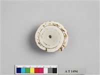 藏品(芋螺貝片)的圖片